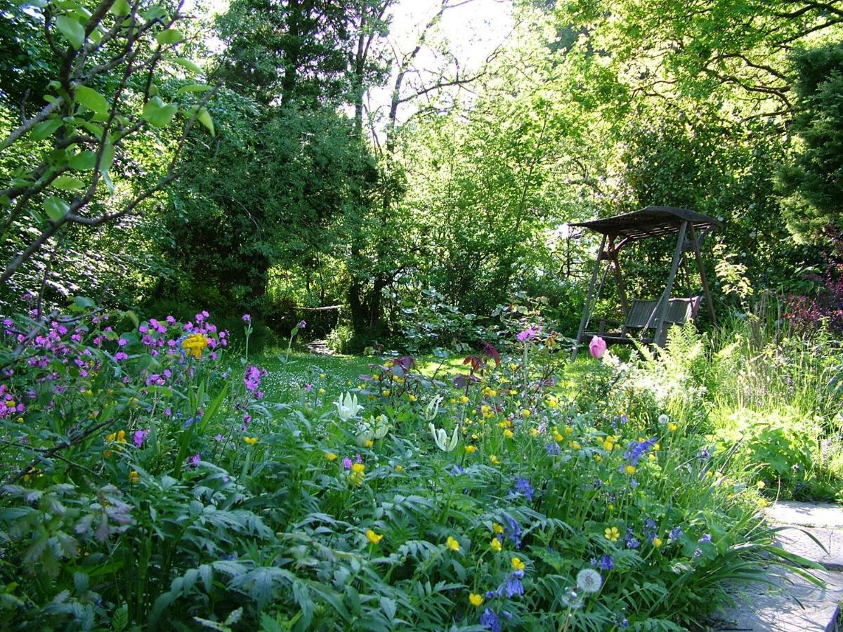 Homer Farm Marytavy Ngoại thất bức ảnh